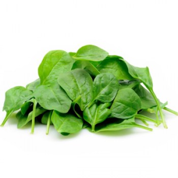 SPINACH FROM BELGIUM